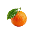 https://naturaljuice.uz/wp-content/uploads/2025/09/Frame-101.png