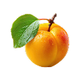 https://naturaljuice.uz/wp-content/uploads/2025/09/Frame-109.png