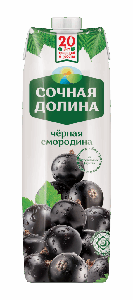 https://naturaljuice.uz/wp-content/uploads/2025/09/Смородина-455x1024.png