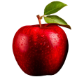 https://naturaljuice.uz/wp-content/uploads/2026/09/barbaris-120x120-1.png