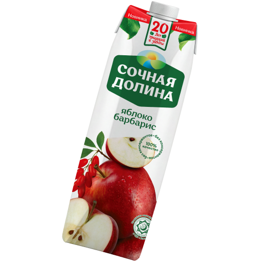 https://naturaljuice.uz/wp-content/uploads/2026/09/barbaris-520x520-1.png