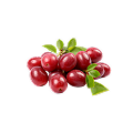 https://naturaljuice.uz/wp-content/uploads/2026/09/element3-120x120-1.png
